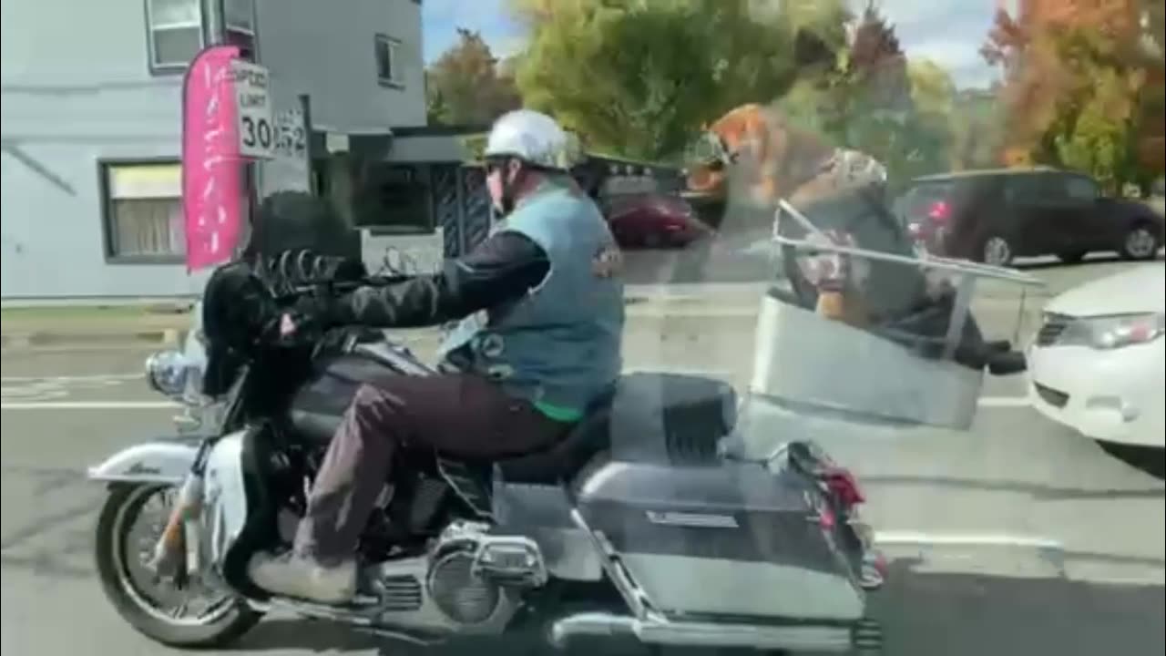 Riding with your friend!