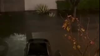 Two roommates rushed to save a Vietnam War veteran after floodwaters swept his car away