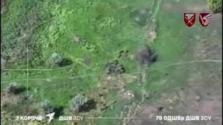 Russian Attack on Settlement of Myrnohrad Intercepted and Liquidated by Ukrainian Paratroopers