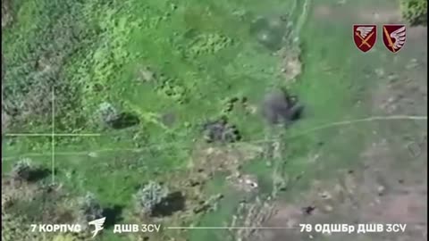 Russian Attack on Settlement of Myrnohrad Intercepted and Liquidated by Ukrainian Paratroopers