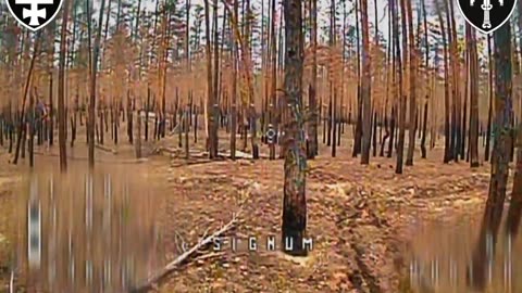 🛸🇷🇺 Ukraine Russia War | SIGNUM Battalion Strikes Russians with FPV Drones | RCF