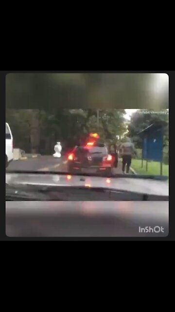 Papers Please. How to deal with a robot. My sensors detect a malfunction...💥💥💥🤖