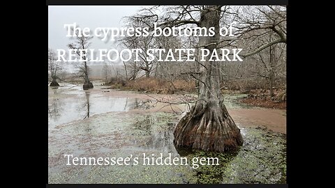 Reelfoot State Park