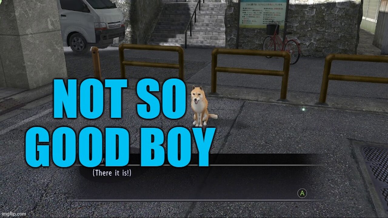 Chillin’ With Chatzu – Follow that Doge
