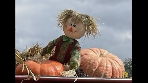 Stay - Reid Anderson