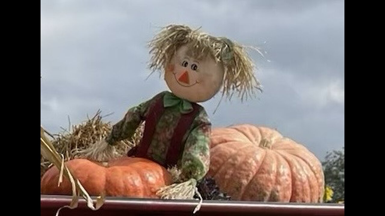 Stay - Reid Anderson