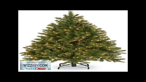 National Tree Company Pre-Lit 'Feel Real' Artificial Full Downswept Christmas Tree Green Review