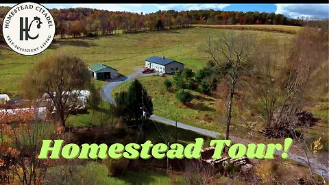 Small Acreage Homestead Tour: Running Livestock and Perennial Food Systems With a Toddler