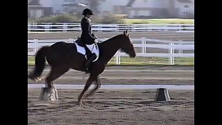 October 18 & 19, 2003 - Dressage at Sweet Charity Farm in Carmel, Indiana