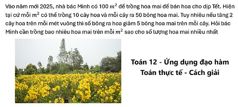 Toán 12: Vào năm mới 2025, nhà bác Minh có 100 m^2 để trồng hoa mai để bán hoa cho dịp Tết