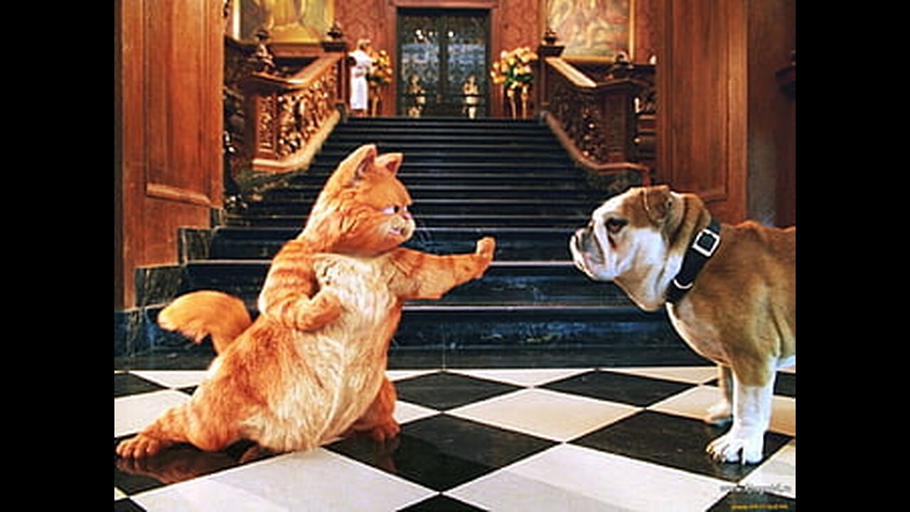Funny Cats And Dogs Videos 2025 😂- Best Funniest Animal Videos 2025 😅