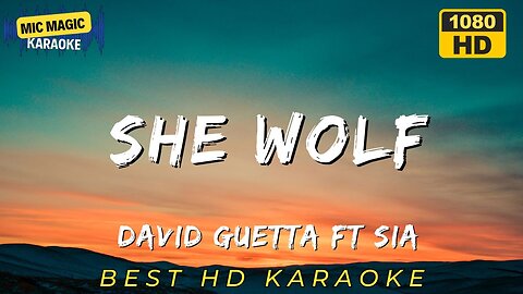 SHE WOLF - DAVID GUETTA FT SIA - KARAOKE