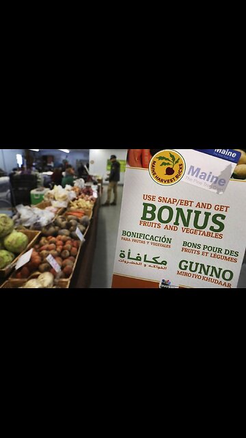 Woman Brags About Using The Government And Tax Dollars For Food Stamps