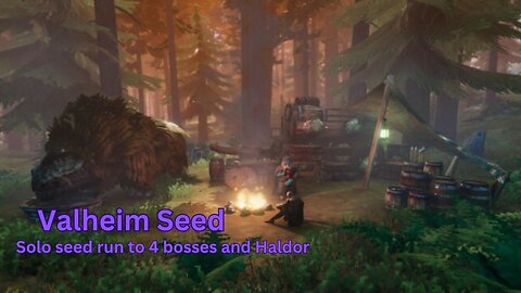 Valheim Seed - Great solo seed run to 4 bosses and Haldor - 3DzPSUt5Ws