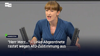 "Herr Merz..." – Linke-Abgeordnete rastet wegen AfD-Zustimmung aus