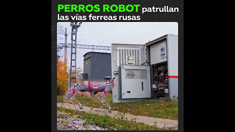 Los Ferrocarriles Rusos están probando perros robot para trabajar en tramos ferroviarios peligrosos