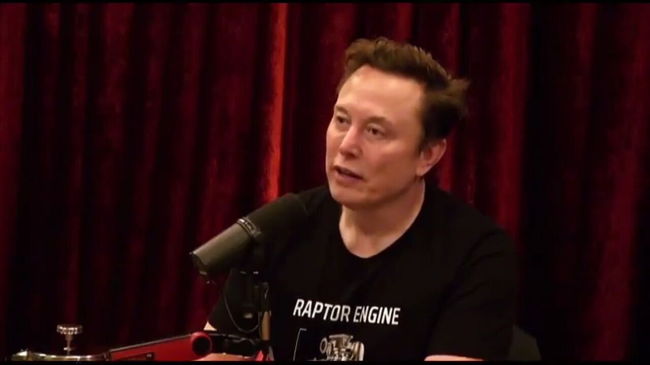 Elon Musk On How The Left Wants To Use Illegal Immigration