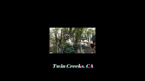 tree branch glitches out