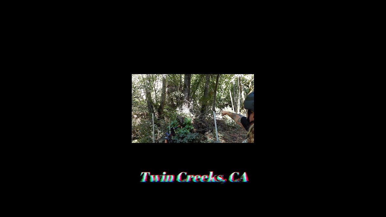tree branch glitches out