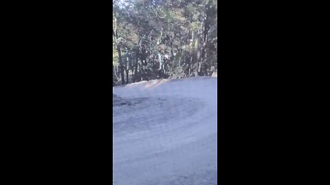 log trucks