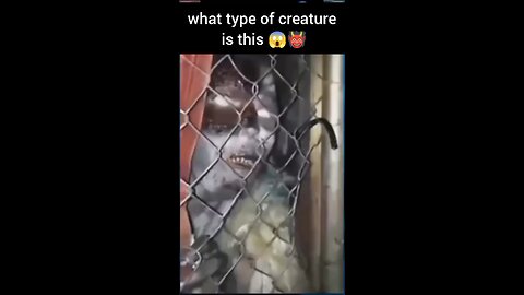 😱👹
