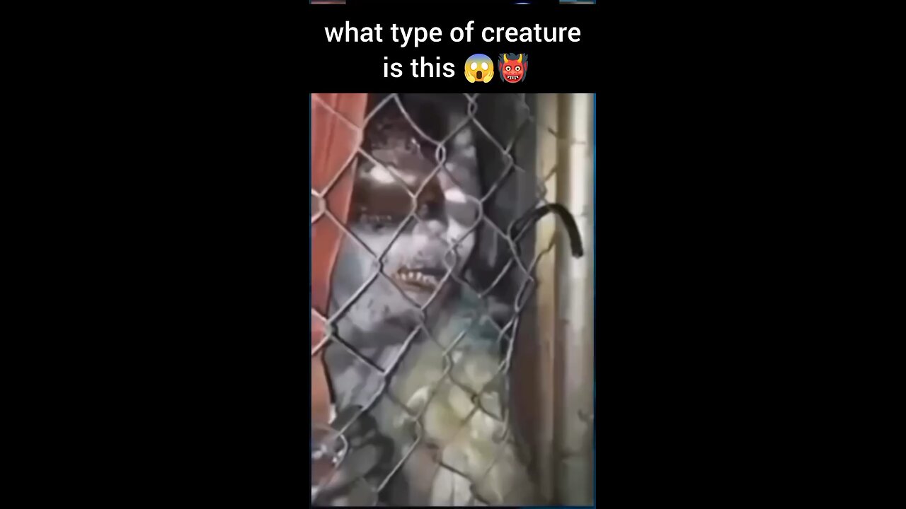 😱👹