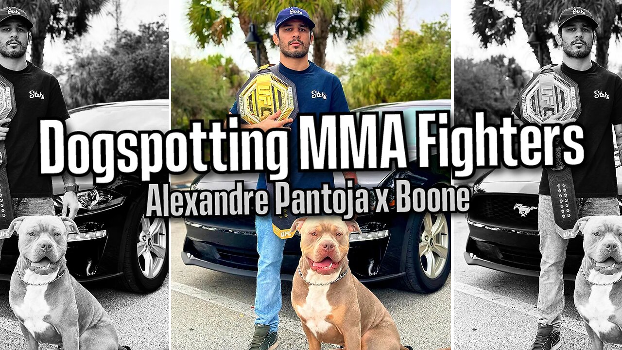 Dogspotting UFC Flyweight Champion Alexandre Pantoja & Boone 🐶