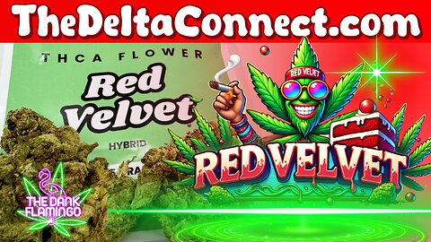 Trying Red Velvet THCa from The Delta Connect! The Dank Flamingo Cannabis Review!!