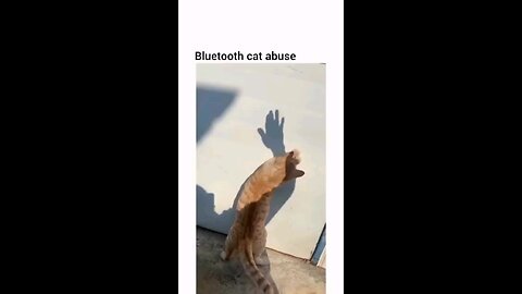“When Life Gives You Funny Mood | Ultimate Meme Shorts”