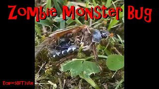 Zombie Monster Bug - In A Garden Near You!