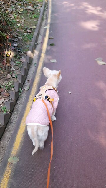 20251112. God is love.