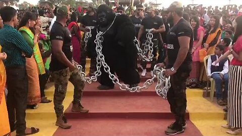 King kong(gorilla) show at alvas virasath 2018