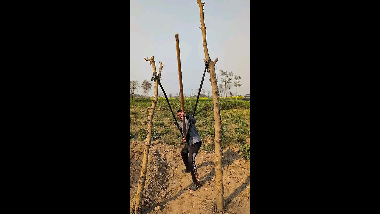 satisfying Video