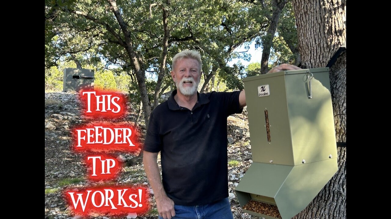 Protein Feeder Tips Every Hunter Should Know