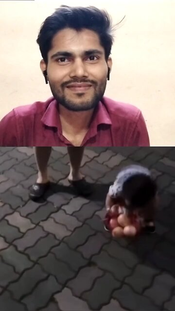 yak bahubali Bachcha