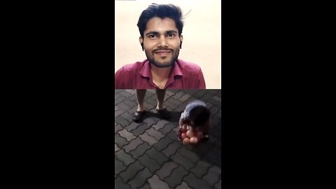 yak bahubali Bachcha