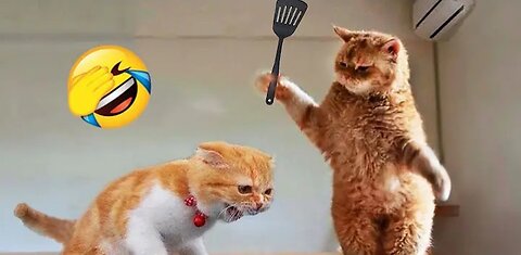 Funniest Animals 2023 😂 New Funny Cats and Dogs Videos 😻🐶 Part 1 | mrxgagan01 |
