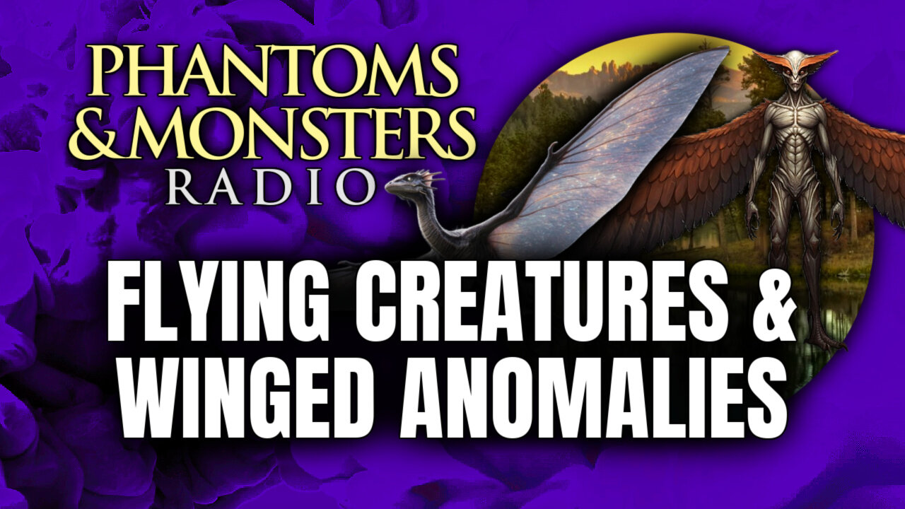 FLYING CREATURES & WINGED ANOMALIES | Live Chat | Join Us! | (MYSTERIOUS, TERRIFYING ENCOUNTERS!)