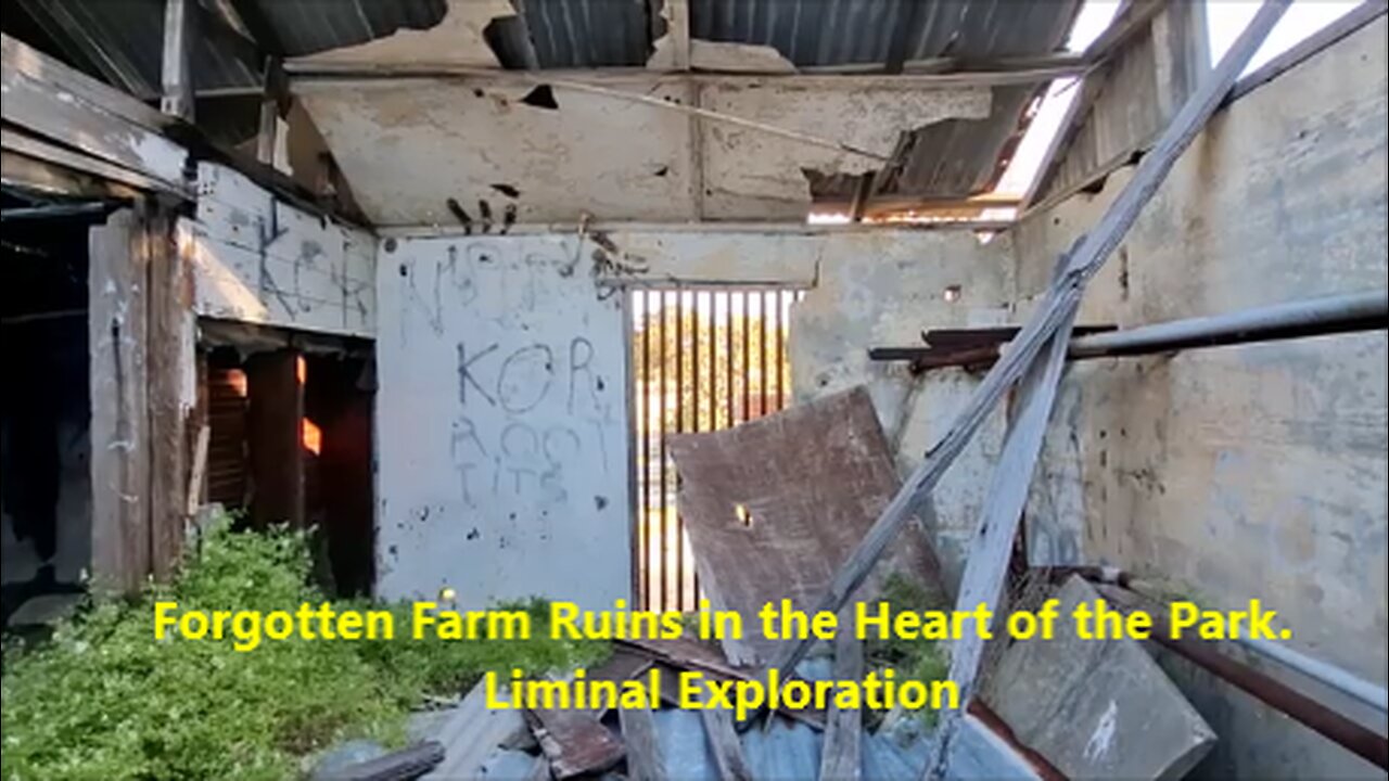 Forgotten Farm Ruins in the Heart of the Park. Liminal Exploration