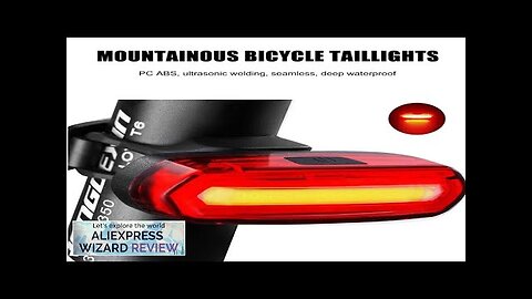 Bicycle Taillight MTB Red Light Bike Rear Light USB Rechargeable LED Cycling Review