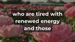 The Perfect Mid-Week Reset Prayer!