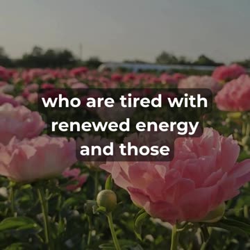 The Perfect Mid-Week Reset Prayer!