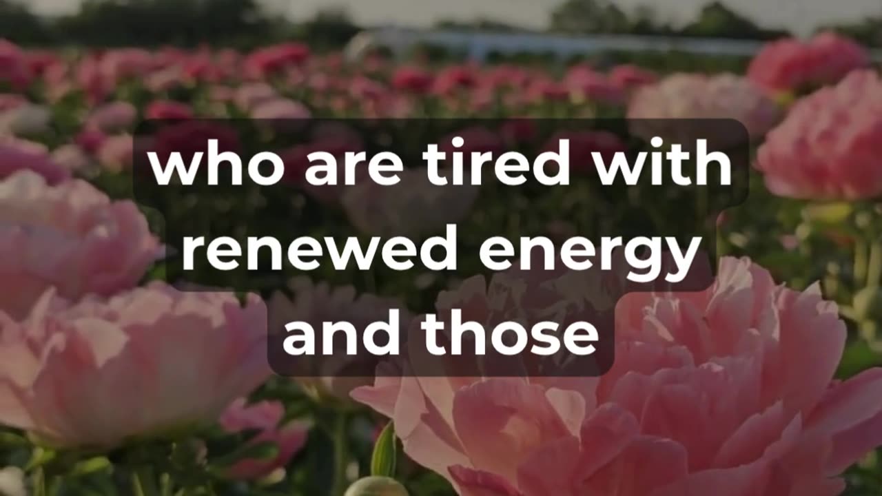 The Perfect Mid-Week Reset Prayer!