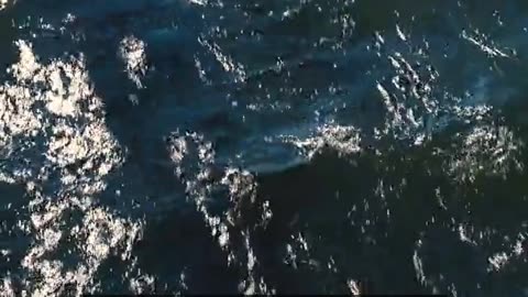 Daily Horoscope | Aquarius 🌟