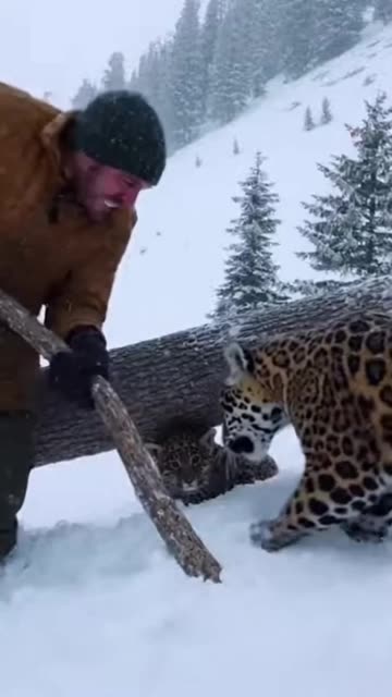 The Black Jaguar's Bond