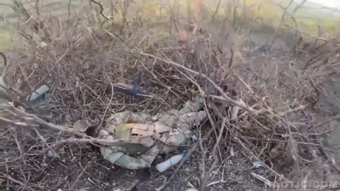 Five minutes of death