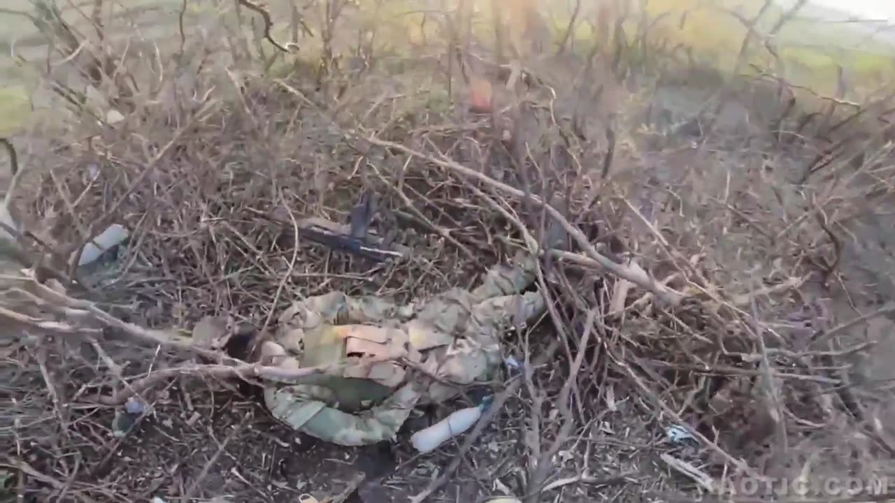 Five minutes of death