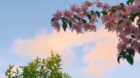 Karan aujla lyrics song status❤️