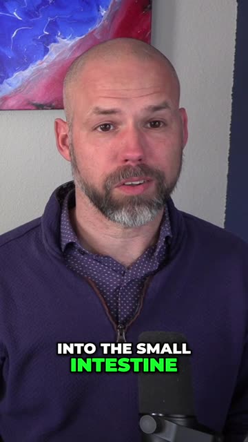 Your Gut Health is Preventing nutrient absorption!