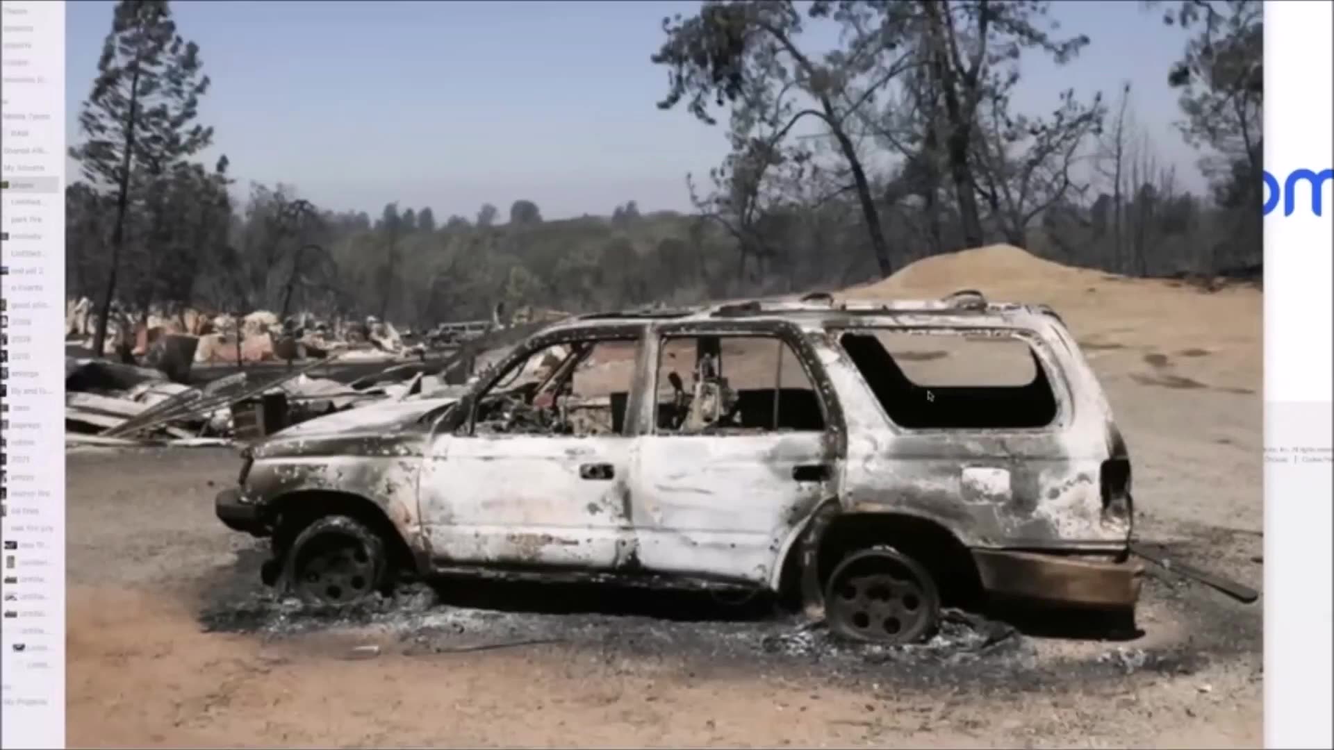 Burn Patterns In California And Maui Forensic Arborist Explains